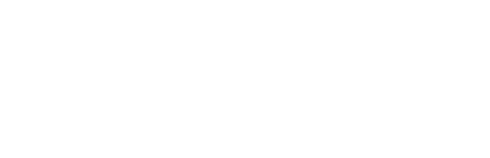 Logo DenSeCo wit